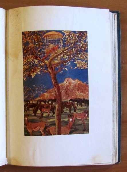 LA LEGGENDA D'ORO DI MOLLICHINA, 1915 ca. ill. CAMBELLOTTI
