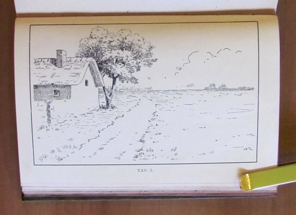 Manuale per i Dilettanti di Pittura ad Olio, Acquarello e …