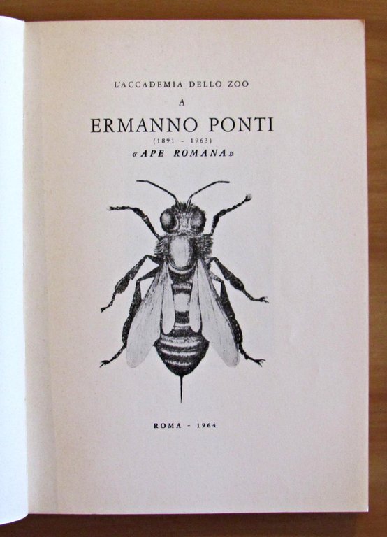 A ERMANNO PONTI (1891-1963)