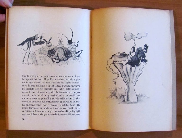 ACCADDE NEL BOSCO, anni '40 - ill. N. NOBILI