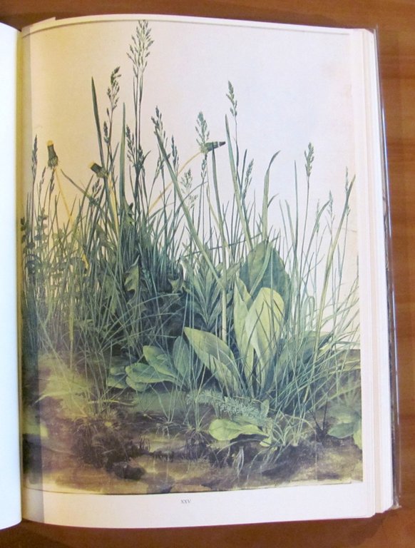 ALBRECHT DURER - DISEGNI, 1973 con 60 Tavole