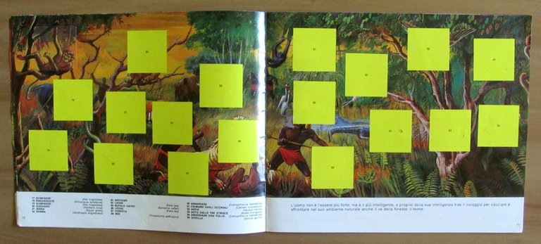 ALBUM di Figurine - SENZA TREGUA - VUOTO - Rarissimo