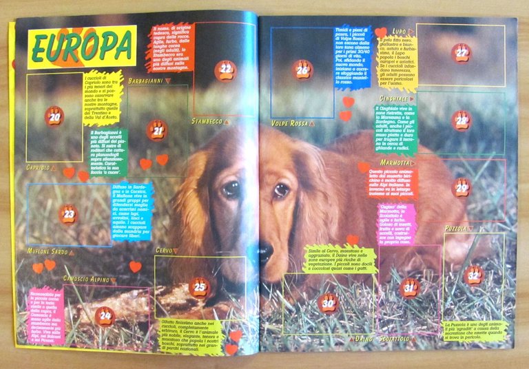 ALBUM FIGURINE CUCCIOLI - Masters Collection, 1997 - VUOTO con …