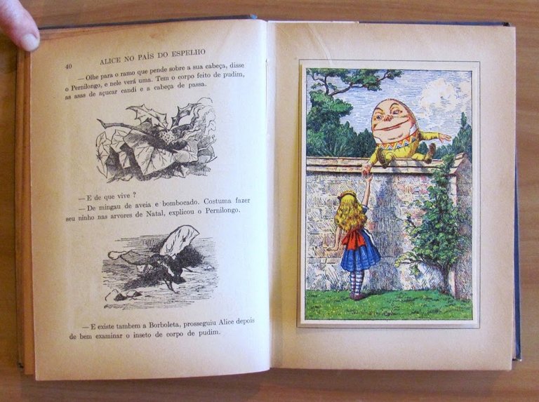 ALICE NO PAIS DO ESPELHO - Biblioteca Pedagogica Brasileira