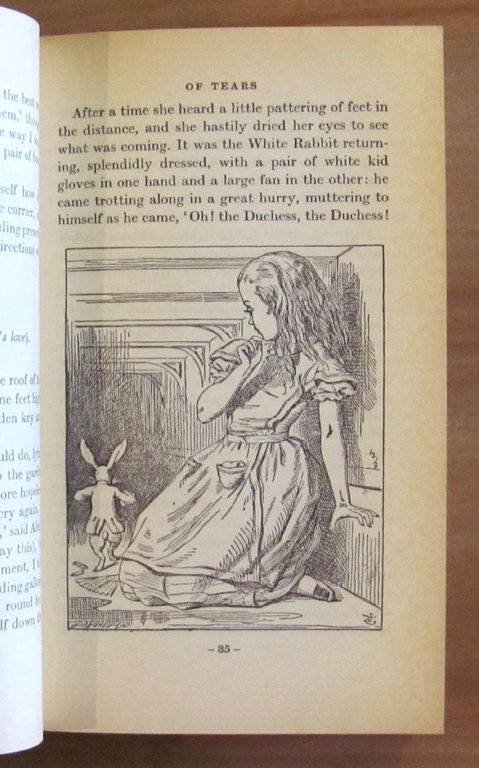 ALICE'S ADVENTURES IN WONDERLAND - THROUGH THE LOOKING GLASS