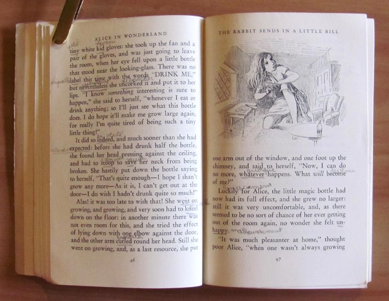 Alice's adventures in wonderland and Through the Looking-Glass , I …