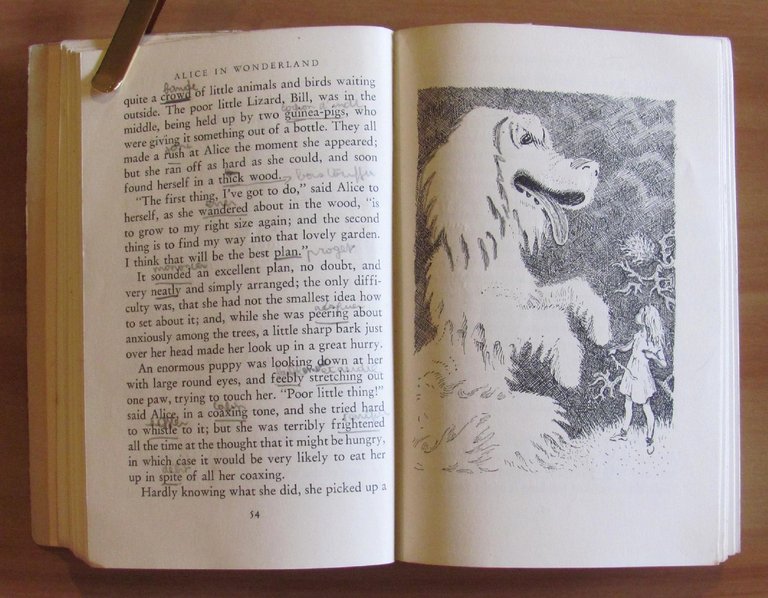 Alice's adventures in wonderland and Through the Looking-Glass , I …