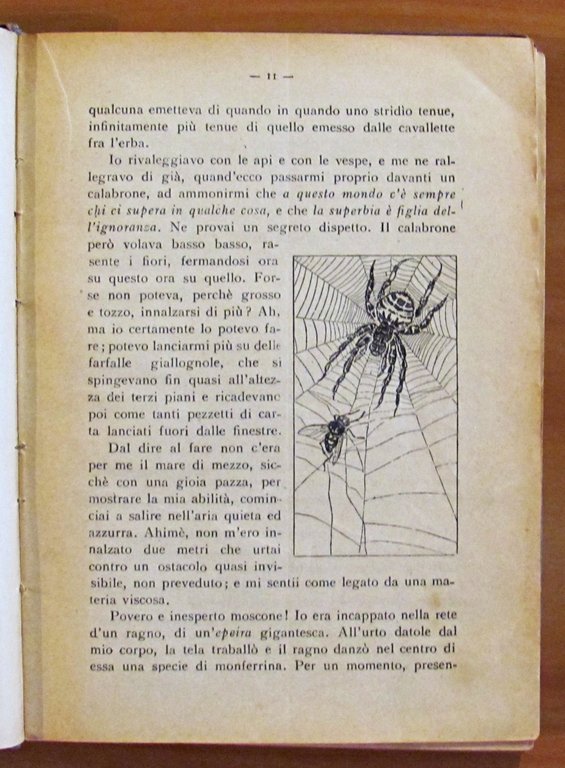 AMATEVI! - MEMORIE DI UN MOSCONE - Protofantascienza