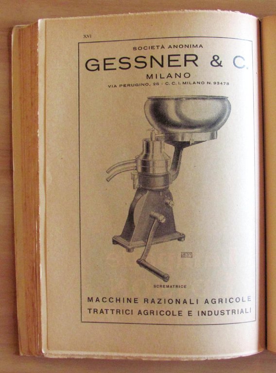 ANGELO DI BONTA' illustrazioni di PORCHEDDU