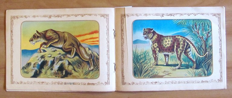 ANIMALI DI TUTTO IL MONDO - I Serie, s.d. anni …