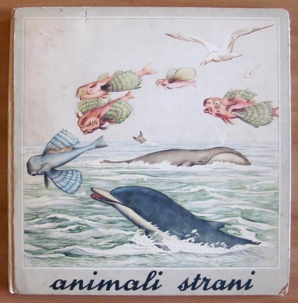 ANIMALI STRANI