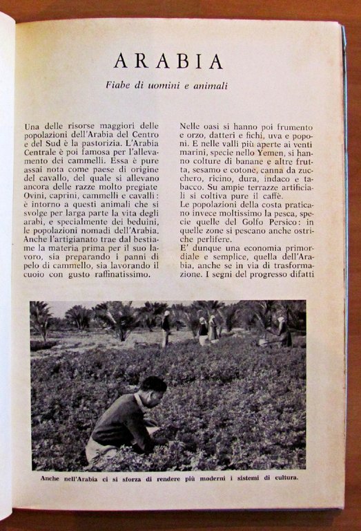 ARABIA - FIABE DI UOMINI E ANIMALI