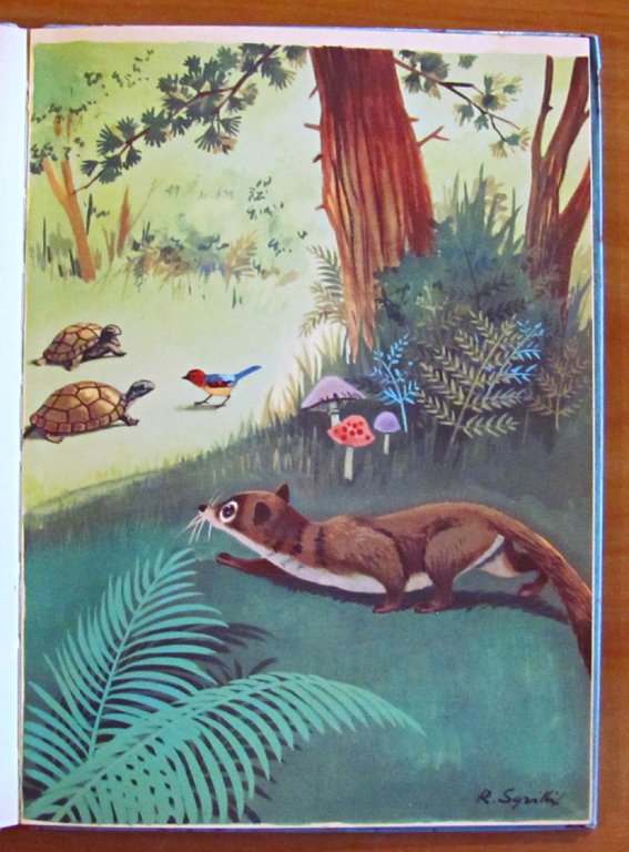 ARABIA - FIABE DI UOMINI E ANIMALI