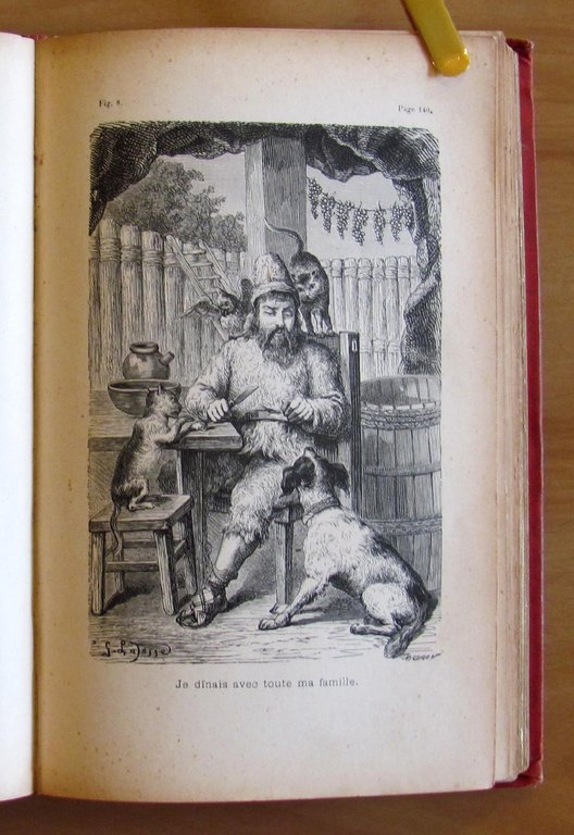 AVENTURES DE ROBINSON CRUSOE - Traduction Nouvelle