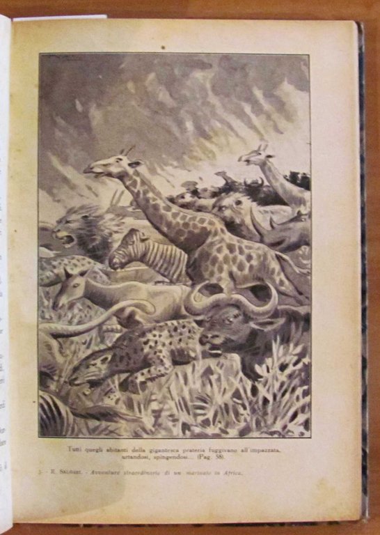 AVVENTURE DI SIMON WANDER + L'ISOLA DEI CANNIBALI + AVVENTURE …