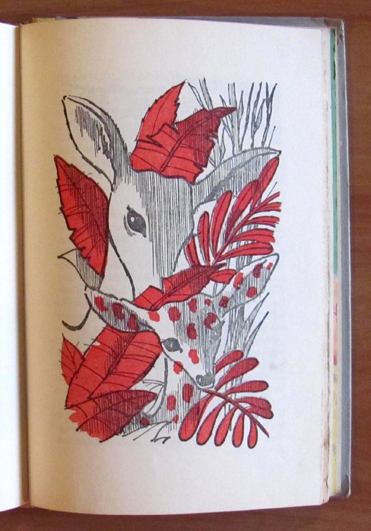 BEST IN CHILDREN'S BOOKS - Robinson Crusoe e altre 8 …