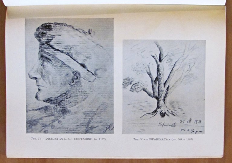 BIBLIOGRAFIA DI LUIGI CAPUANA 1839-1968 - Coll. Lettere nella storia …