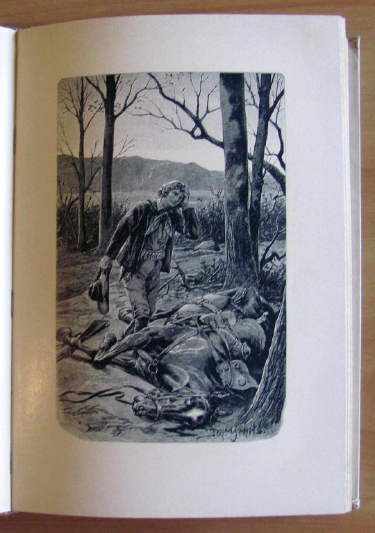 BILL DER EISENKOPS (Bill testa di ferro)