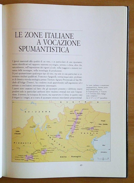 BRINDARE ITALIANO Guida per conoscere e apprezzare tutti i tipi …