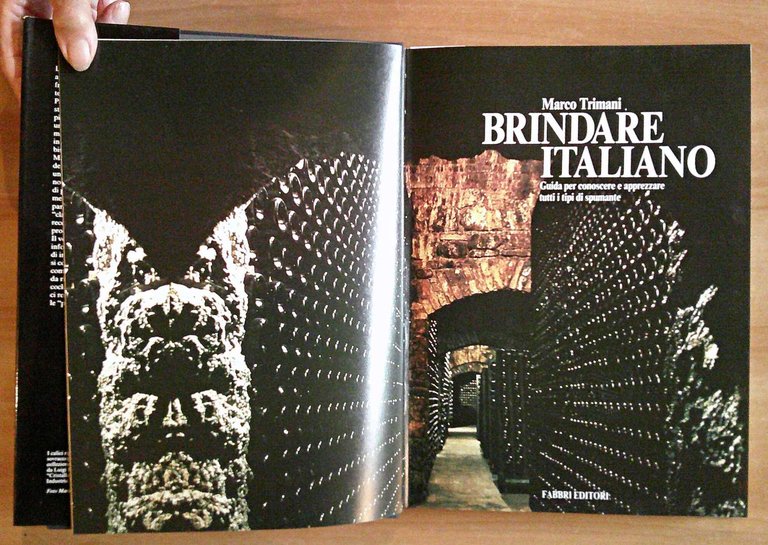 BRINDARE ITALIANO Guida per conoscere e apprezzare tutti i tipi …