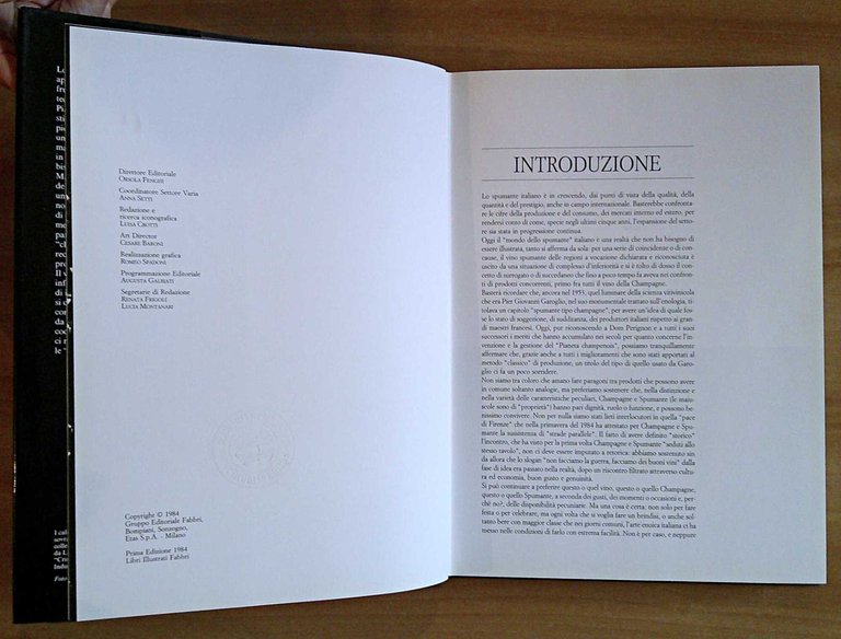 BRINDARE ITALIANO Guida per conoscere e apprezzare tutti i tipi …