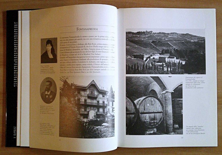 BRINDARE ITALIANO Guida per conoscere e apprezzare tutti i tipi …