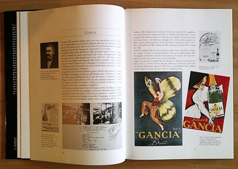 BRINDARE ITALIANO Guida per conoscere e apprezzare tutti i tipi …