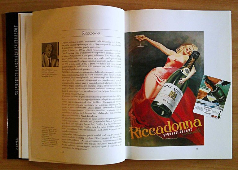 BRINDARE ITALIANO Guida per conoscere e apprezzare tutti i tipi …