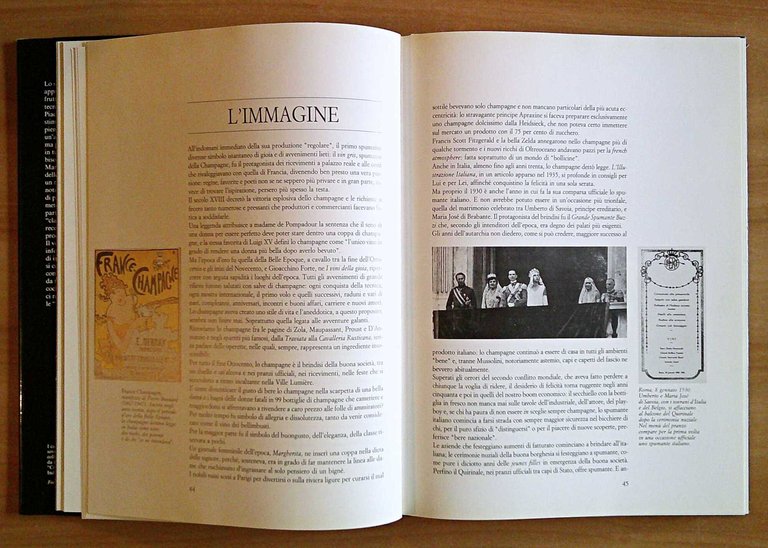 BRINDARE ITALIANO Guida per conoscere e apprezzare tutti i tipi …