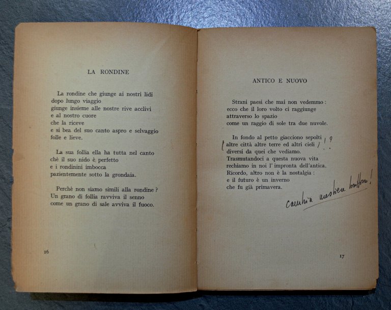 CANTO DELLA VITA - LIRICHE - Collana Poeti d'Oggi