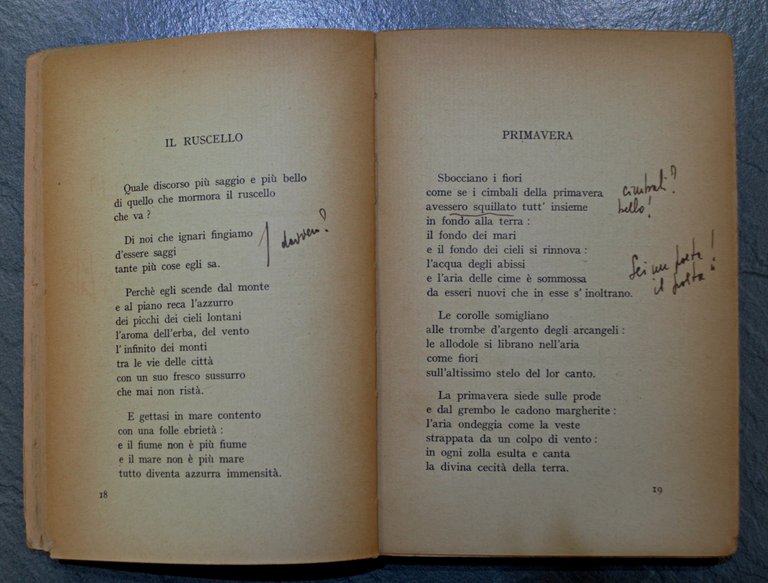 CANTO DELLA VITA - LIRICHE - Collana Poeti d'Oggi
