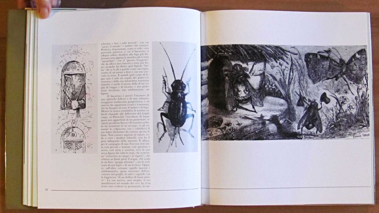 CARLO COLLODI - LO SPAZIO DELLE MERAVIGLIE, 1990