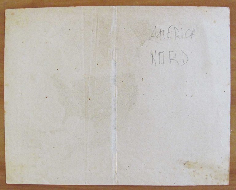 CARTINA Fisica e Politica dell'AMERICA SETTENTRIONALE