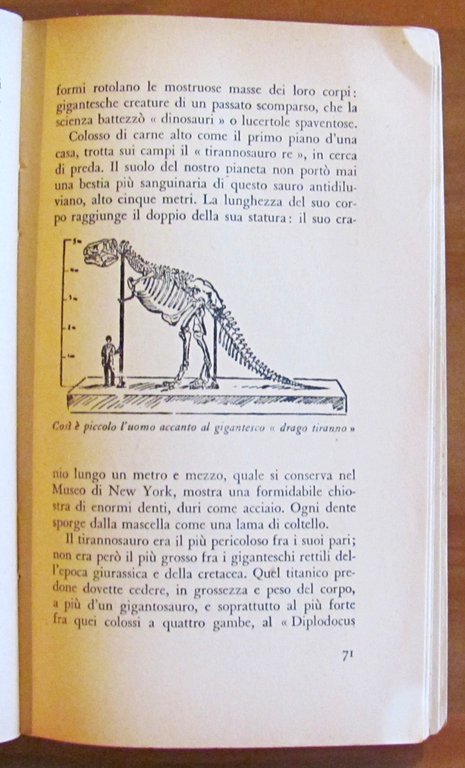 CHI VIVE SULLE STELLE?