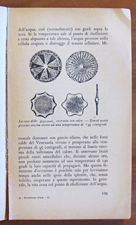 CHI VIVE SULLE STELLE?