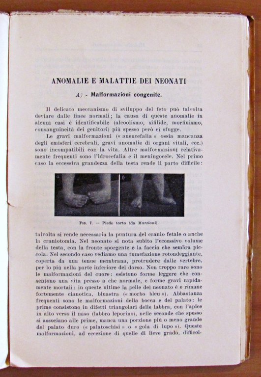 COME SI ALLEVA IL BAMBINO SANO E COME SI ASSISTE …
