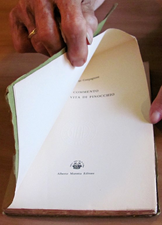 COMMENTO ALLA VITA DI PINOCCHIO, 1966 - Intonso