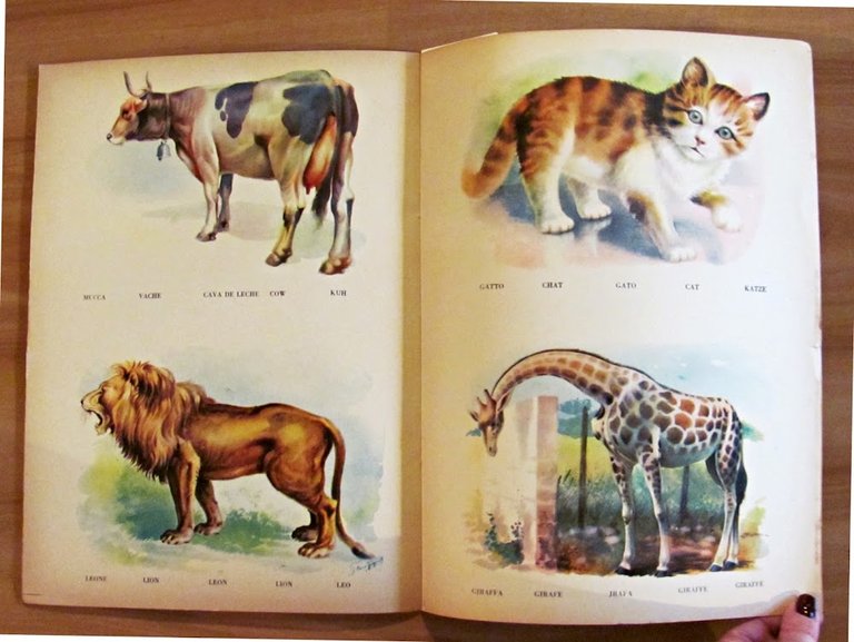 CONOSCO GLI ANIMALI - Collana Prescolastica Grande N.23