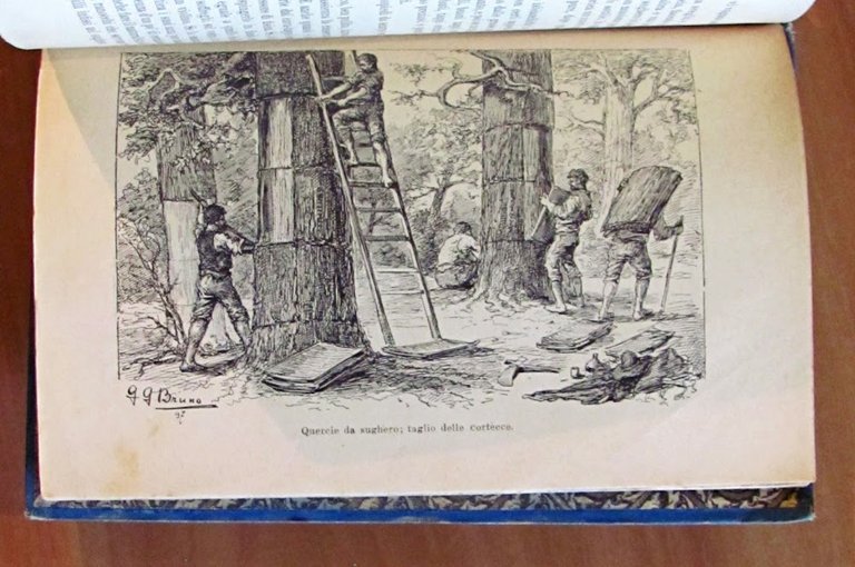 COSE VECCHIE E STORIE NUOVE - Libro Illustrato per Fanciulli