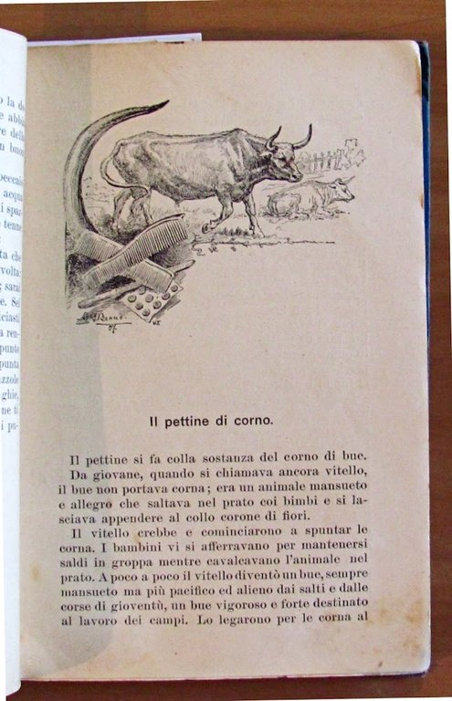 COSE VECCHIE E STORIE NUOVE - Libro Illustrato per Fanciulli