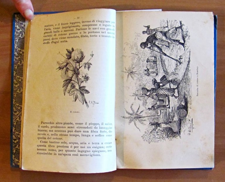 COSE VECCHIE E STORIE NUOVE - Libro Illustrato per Fanciulli