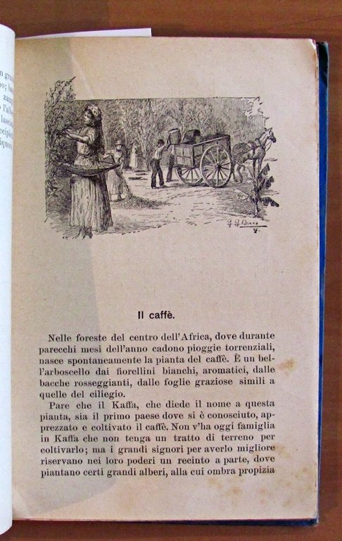 COSE VECCHIE E STORIE NUOVE - Libro Illustrato per Fanciulli