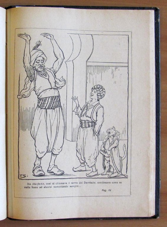 DAL DESERTO ALLA JUNGLA unito a GELSO COCCODE'