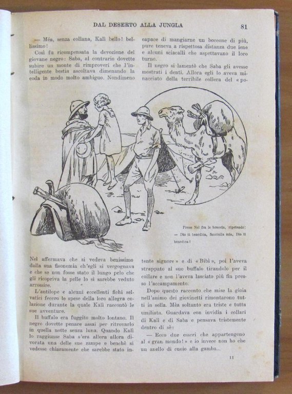 DAL DESERTO ALLA JUNGLA unito a GELSO COCCODE'