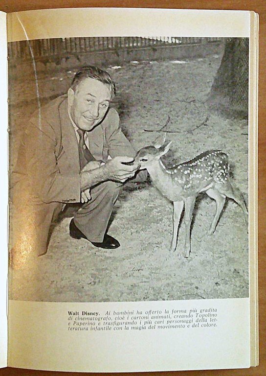 DALLA FIABA AL FUMETTO, I ed. 1969 - Problemi, generi, …