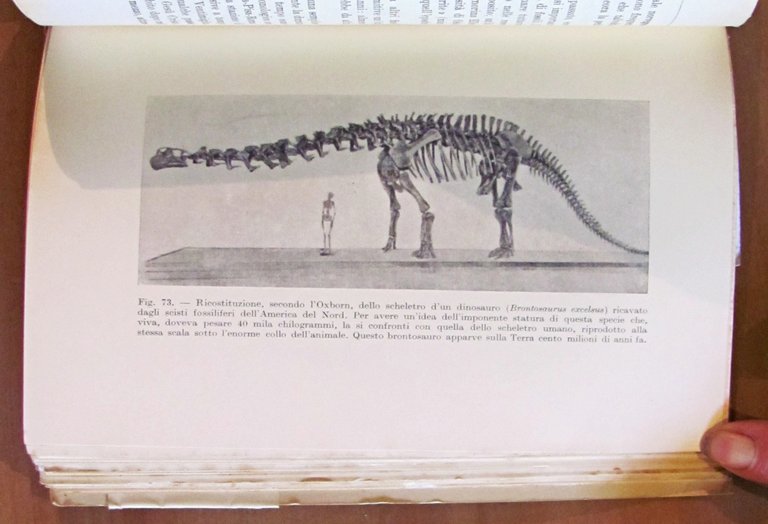 DALLE STELLE AGLI ATOMI, 1932 - Con Fascetta Editoriale