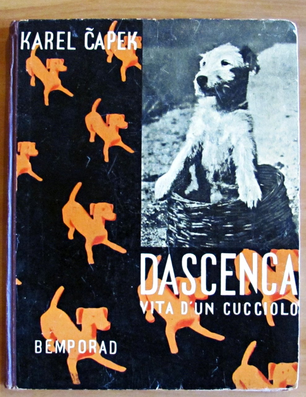 DASCENCA - Vita d'un cucciolo - Illustrazioni e fotografie di …