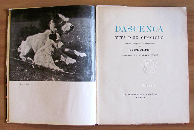 DASCENCA - Vita d'un cucciolo - Illustrazioni e fotografie di …