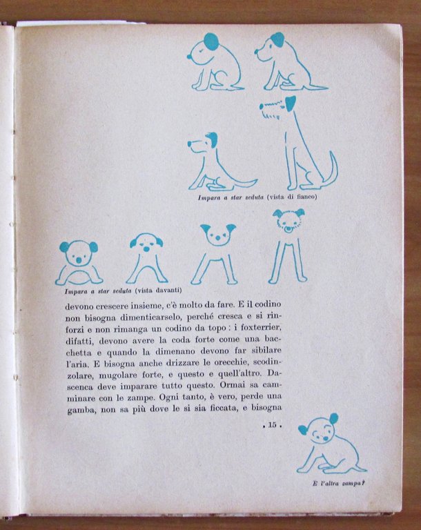 DASCENCA - Vita d'un cucciolo - Illustrazioni e fotografie di …