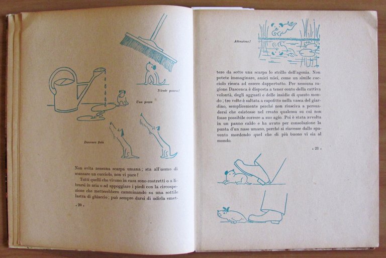 DASCENCA - Vita d'un cucciolo - Illustrazioni e fotografie di …